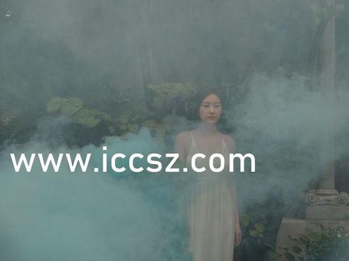 中文字幕国产精品视频,探索中国光影魅力